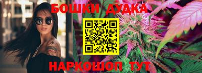 индика Партизанск