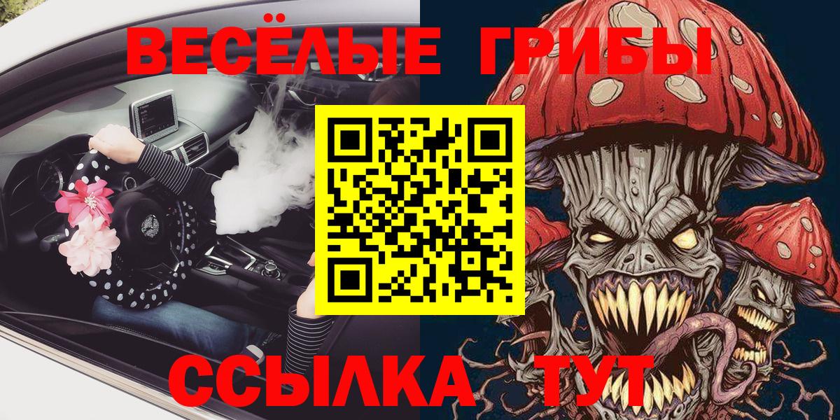 Псилоцибиновые грибы Cubensis  Вход с VPN  Новозыбков  Галлюциногенные грибы MAGIC MUSHROOMS 